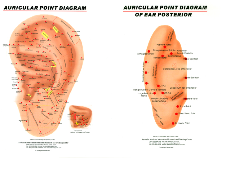 Ear Chart, Left Ear